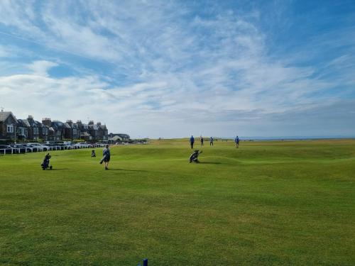 Sandstones in North Berwick Sandstones in North Berwick