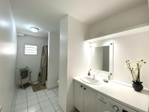 Salle de bain, Mayani in Baie Mahault Salle de bain, Mayani in Baie Mahault