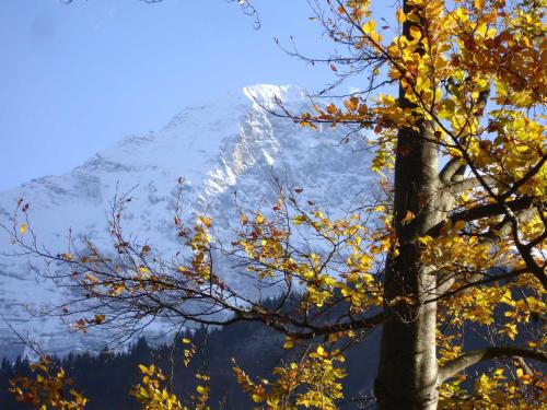 This photo about Beim See shared on HyHotel.com