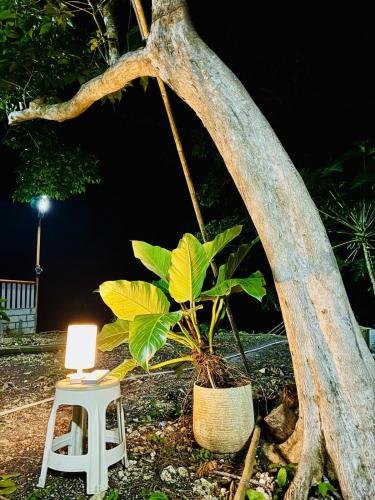 Bohol Seafront Villa Pasan Cove a resort homestay in Guindulman Bohol Seafront Villa Pasan Cove a resort homestay in Guindulman