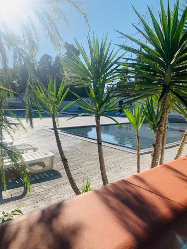 Mobil-home in Agde Mobil-home in Agde