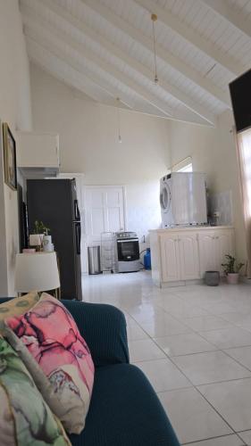 Comfy, spacious apartment near the beach in Bathsheba Comfy, spacious apartment near the beach in Bathsheba