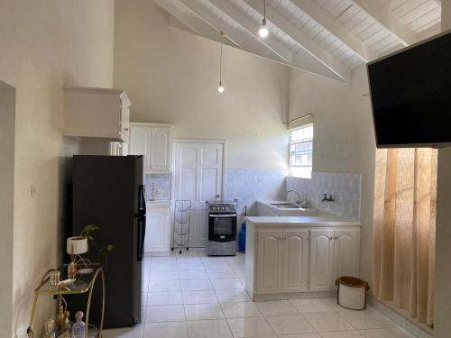 Comfy, spacious apartment near the beach in Bathsheba Comfy, spacious apartment near the beach in Bathsheba