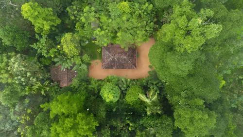 Swasthi Serviced Villa in Vazhoor Swasthi Serviced Villa in Vazhoor