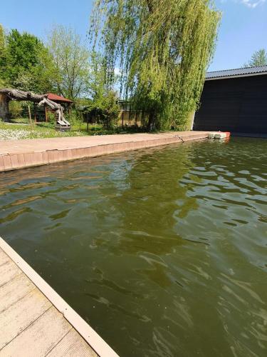 Lakehouse Izvorani in Ciofliceni Lakehouse Izvorani in Ciofliceni