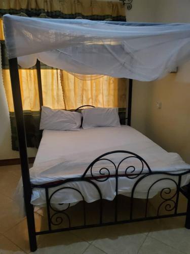 2M lodge Tarangire in Tarangire 2M lodge Tarangire in Tarangire