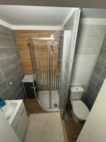 Fürdőszoba, Apartmán Loket (Apartman Loket) in Loket Fürdőszoba, Apartmán Loket (Apartman Loket) in Loket