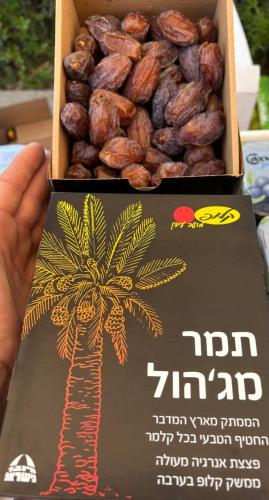 דירת הדקל בעידן in Hatzeva דירת הדקל בעידן in Hatzeva