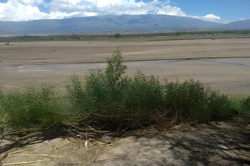 Camping Agreste "El Algarrobo de Quilmes" in Amaicha Del Valle Camping Agreste "El Algarrobo de Quilmes" in Amaicha Del Valle