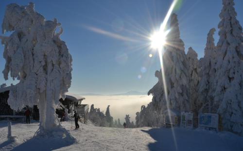 This photo about Nichtraucher-Ferienhotel Hohen Bogen shared on HyHotel.com