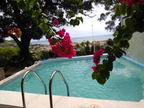 Piscina, Habitation Des Lauriers in Cap-Haitien Piscina, Habitation Des Lauriers in Cap-Haitien