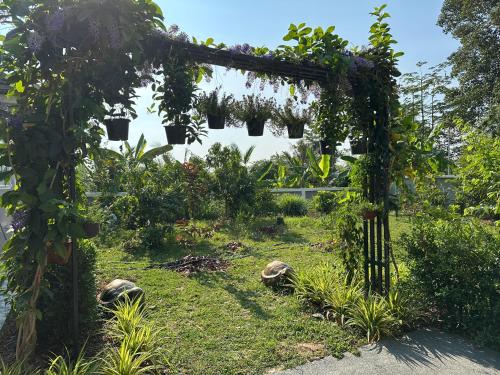 Garden, Sutalawadee Resort in Khu Mueang Garden, Sutalawadee Resort in Khu Mueang
