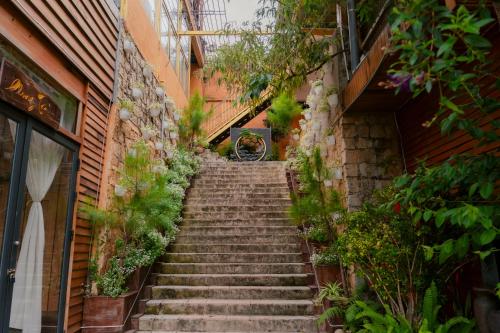 taman, Michelia Valley Hotel in Dalat taman, Michelia Valley Hotel in Dalat