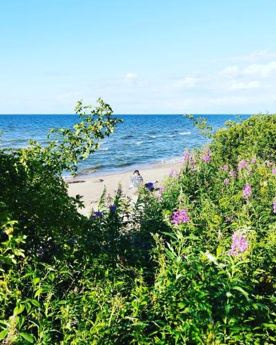 Beach, Mereaare Glamping ja Rannamaja in Narva Beach, Mereaare Glamping ja Rannamaja in Narva