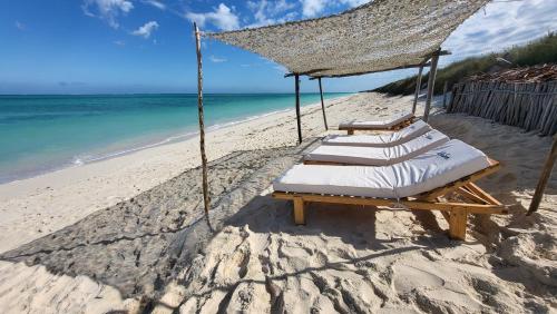 Beach, Kokoa Sands - Ankasy Madagascar in Ifaty Beach, Kokoa Sands - Ankasy Madagascar in Ifaty
