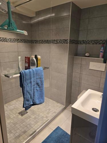 Zuhanyzó, Studio in a townhouse in Cran-Gevrier Zuhanyzó, Studio in a townhouse in Cran-Gevrier