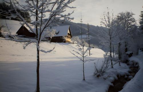 المنظر الخارجي, Nichtraucher-ferienwohnung, 60qm in Oberwolfach المنظر الخارجي, Nichtraucher-ferienwohnung, 60qm in Oberwolfach