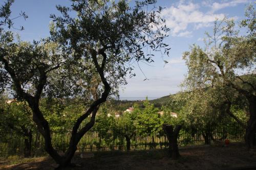 This photo about Villa Tresino Flats Santa Maria di Castellabate shared on HyHotel.com