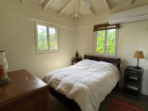 Eden's Gate Oceanside Estate in Calibishie Eden's Gate Oceanside Estate in Calibishie