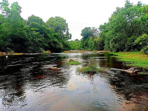 Jolly Homestay in Jog Falls Jolly Homestay in Jog Falls