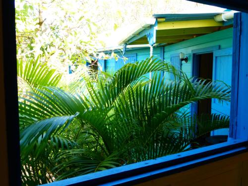 Bequia Eco House in Friendship Bequia Eco House in Friendship