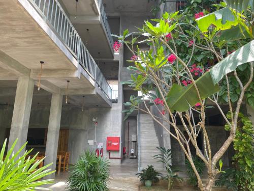 정원, 서프 갱스 호텔 (Surf Gangs Hotel) in 아루감 베이 정원, 서프 갱스 호텔 (Surf Gangs Hotel) in 아루감 베이