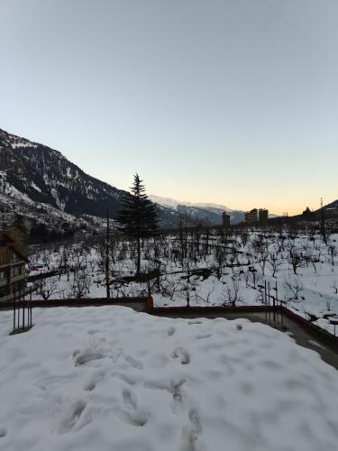 View, deja view orchard, old manali in Majach View, deja view orchard, old manali in Majach