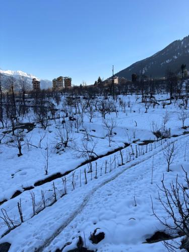 View, deja view orchard, old manali in Majach View, deja view orchard, old manali in Majach