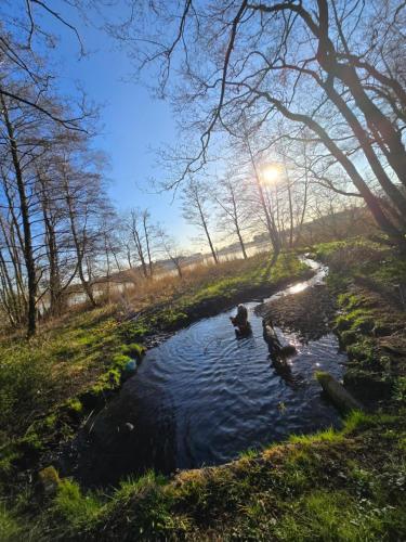 A szálláshely kívülről, Fewo Lütt Stuv (Fewo Lutt Stuv) in Fockbek A szálláshely kívülről, Fewo Lütt Stuv (Fewo Lutt Stuv) in Fockbek