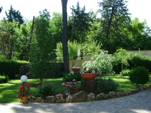 Garden, Appartamento in villa in San Cesareo Garden, Appartamento in villa in San Cesareo