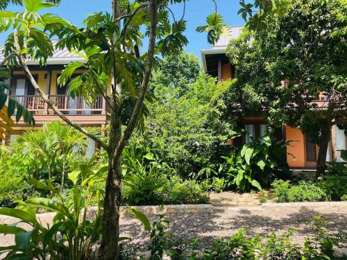Breadfruit View - Luxury Villa with Private Pool in Oracabessa in โอราคาเบสซา Breadfruit View - Luxury Villa with Private Pool in Oracabessa in โอราคาเบสซา