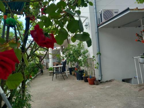 Guest House Dada in Mostar Guest House Dada in Mostar