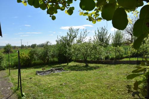 Le Nid des Cigognes avec terrace in Cattenom Le Nid des Cigognes avec terrace in Cattenom