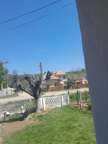 Hotelul din grădină lui geani (Hotelul din gradina lui geani) in Baile Govora Hotelul din grădină lui geani (Hotelul din gradina lui geani) in Baile Govora