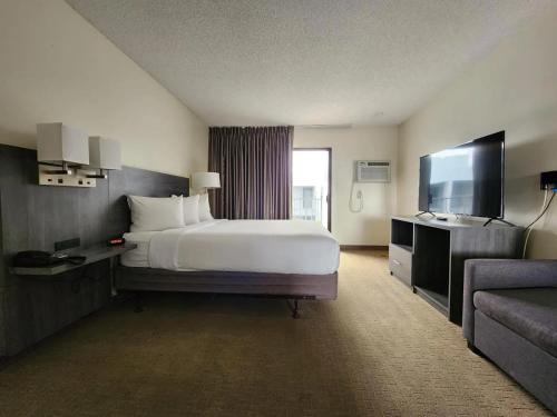 Las palmas Hotel Tucson in ทูซาน (AZ) Las palmas Hotel Tucson in ทูซาน (AZ)