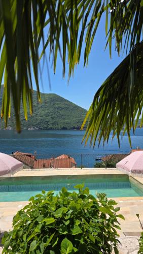 Casa Vita Nova in Perast Casa Vita Nova in Perast