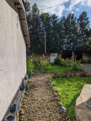 zahrada, Yose art & guest house in Kinigi zahrada, Yose art & guest house in Kinigi
