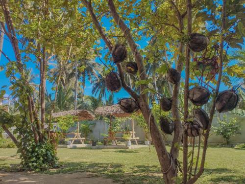 The Dream Inn Guesthouse Passikudah in Pasikuda The Dream Inn Guesthouse Passikudah in Pasikuda