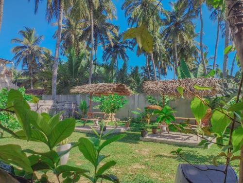 The Dream Inn Guesthouse Passikudah in Pasikuda The Dream Inn Guesthouse Passikudah in Pasikuda