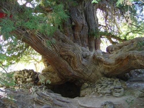 Nurata Ecotourism Guesthouse in Forish Nurata Ecotourism Guesthouse in Forish