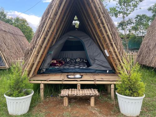 View, Sunshine Farms And Resort in Umsning View, Sunshine Farms And Resort in Umsning