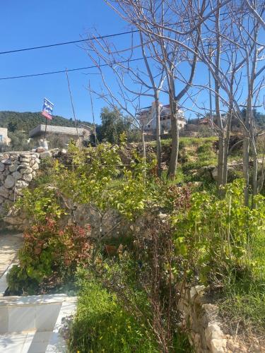 Featured House Furnished Independent for Rent in Ajloun Featured House Furnished Independent for Rent in Ajloun