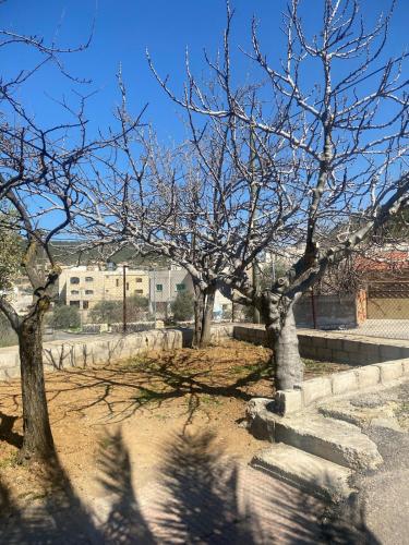 Featured House Furnished Independent for Rent in Ajloun Featured House Furnished Independent for Rent in Ajloun