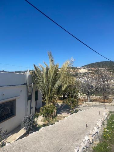 Featured House Furnished Independent for Rent in Ajloun Featured House Furnished Independent for Rent in Ajloun