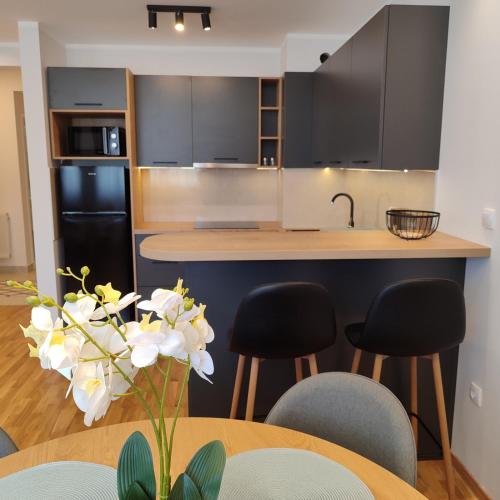 厨房, Apartman Višnja (Apartman Visnja) in 佩尔 厨房, Apartman Višnja (Apartman Visnja) in 佩尔