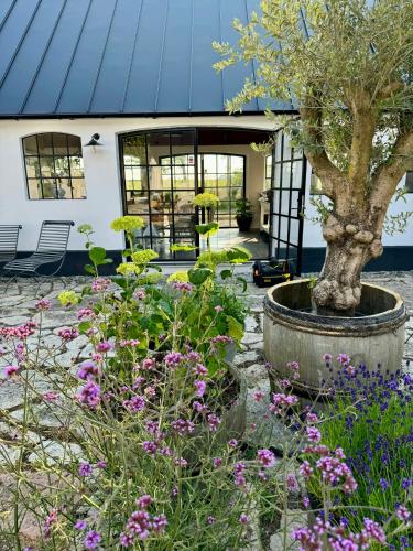 Exterior view, Traditional Scanian Farm In The Fields Of Osterlen in Garsnas Exterior view, Traditional Scanian Farm In The Fields Of Osterlen in Garsnas