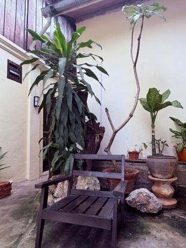 Garden, Manotemple Guest House in Ban Mano Garden, Manotemple Guest House in Ban Mano