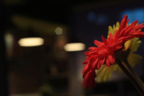 This photo about Safran Hotel shared on HyHotel.com