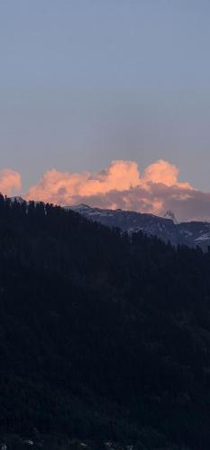 Hostelam The Mountain Story in Manali Hostelam The Mountain Story in Manali