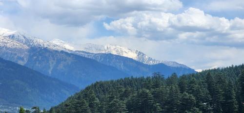 Hostelam The Mountain Story in Manali Hostelam The Mountain Story in Manali